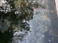 -济南大明湖景区