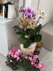 -M13瑾玳•专业美甲美睫
