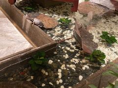-江南·JIANGNAN(北京歌华开元大酒店)