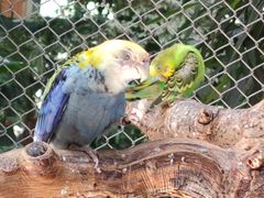 -南宫五洲植物乐园