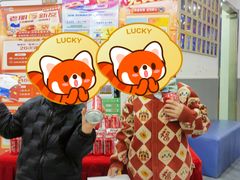-乐博乐博少儿编程·机器人编程·信息学竞赛(未央校区)