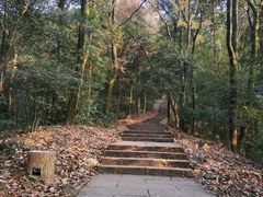 -西湖风景区十里琅珰-五云山
