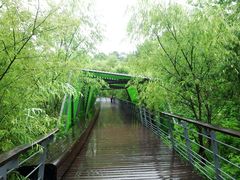 -西湖风景区-江洋畈生态公园