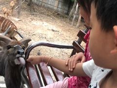 -清迈夜间动物园