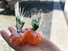 -同里国家湿地公园