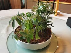-御仙都北京菜馆·烤鸭店(双井店)