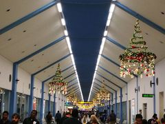 -班达拉奈克国际机场