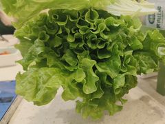 -韩香福烤肉庄园(荣成店)