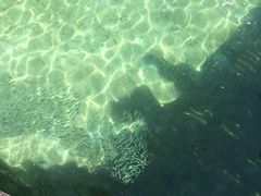 iphone_upload_pic-东姑阿都拉曼海洋公园