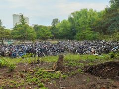 -江南大学(蠡湖校区)