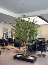 -付军剪艺JF ProSalon