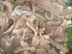 -攀枝花·任德琼·盐边羊肉米线