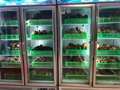 -山菌美食苑(振兴路店)