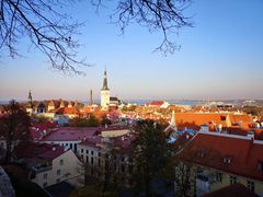 -塔林历史中心