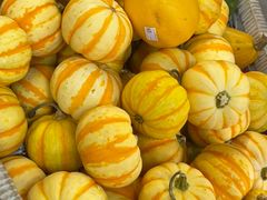 -溪岸路花鸟市场