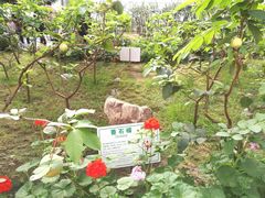 -长春农博园