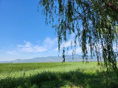 -野鸭湖国家湿地公园