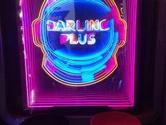 -Darling Queen·Mini·Live·House