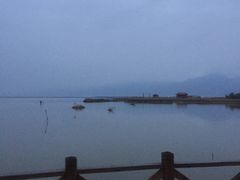 -哈素海