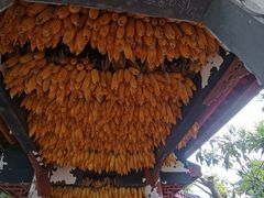 -金堂县云顶石城风景区