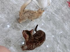 -东方之珠洗浴休闲广场(南开店)