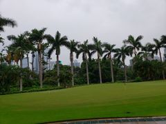 -棕榈泉国际高尔夫学院
