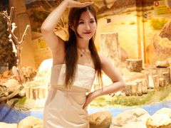 -正佳雨林生态植物园