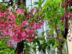 -中兴路(地铁站)