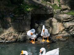 -兰亭风景区