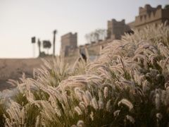 -阿布扎比沙漠皇宫酒店水疗中心