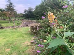 -白塘生态植物园