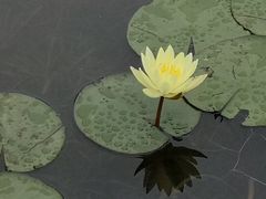 -成飞公园