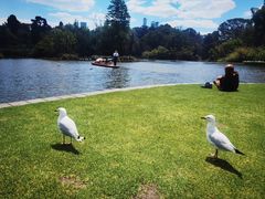 -墨尔本皇家植物园