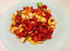 -新侨小馆(东直门北小街店)