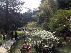 景点-庐山风景区花径公园