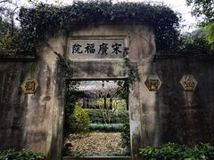 -十八棵（老龙井）御茶园(老龙井店)