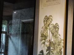 龟背竹-上楼私房菜(院士路店)