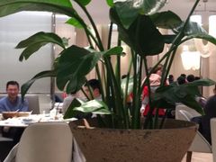 -香港百合居(LCM置汇旭辉广场店)