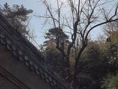 -潭柘寺景区