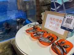 -太奥幻太奇海洋馆