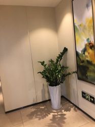 -Yestar宁波艺星整形医院