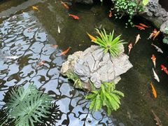 -白天鹅宾馆·流浮阁咖啡厅