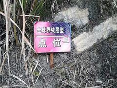 -金钉子远古世界景区