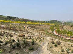 -密云玫瑰情园