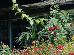 -大妙火锅·非物质文化遗产(东湖公园店)