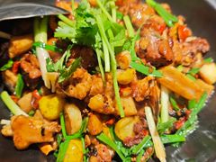 岭南土鸡煲-肥家大排档(天河体育西店)