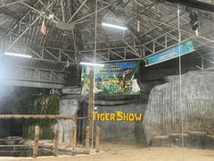 -清迈夜间动物园