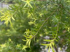 -Le Bistrot de Racine