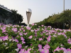 -深圳国际园林花卉博览园