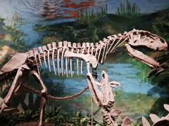 -自贡恐龙博物馆